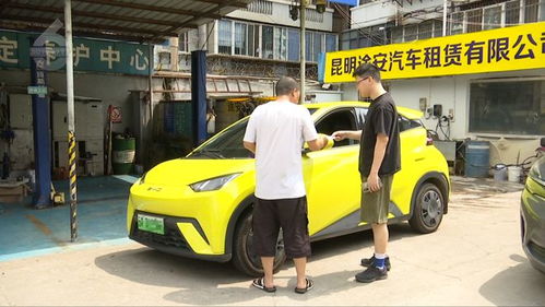 假日租車(chē)市場(chǎng)持續(xù)火熱，家庭出行與社交需求催生“國(guó)民神車(chē)”