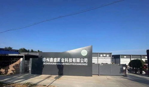 喜賀德州鑫盛鹿茸菇廠批量租賃10臺ID.4 Crozz，綠色出行助力企業發展